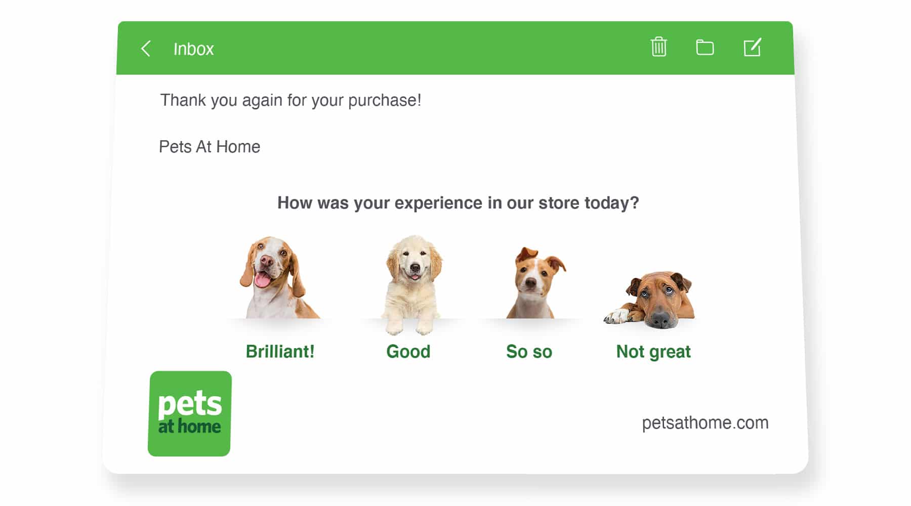 pets at home feedback survey customer service