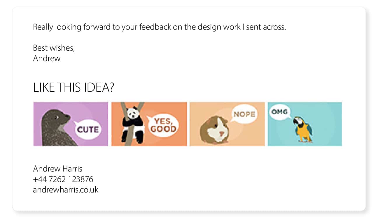 cool email signature ideas feedback reaction