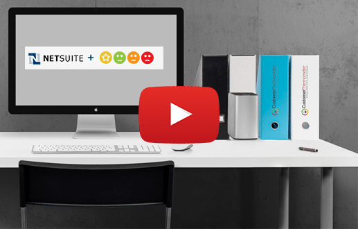 demo netsuite