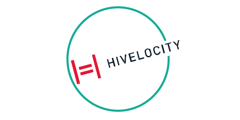 Hivelocity case study